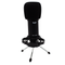 GXL-1800 CAD Audio High Sensitivity Studio Condenser  Microphone