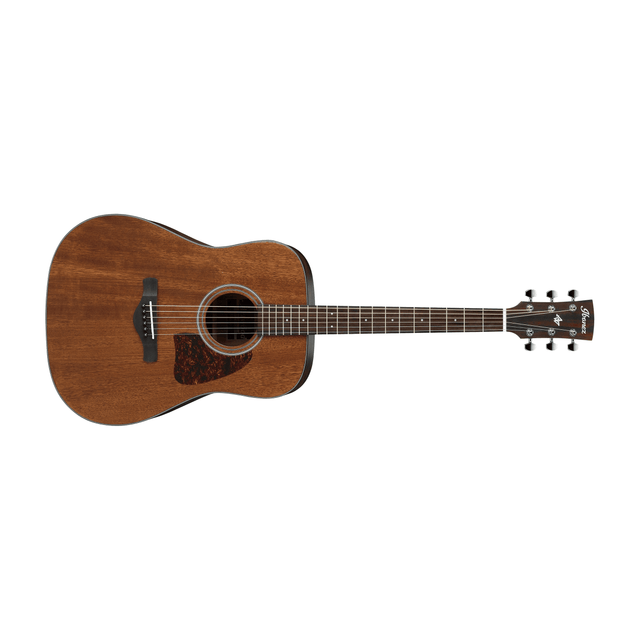 Acoustic Guitars - Fastrak