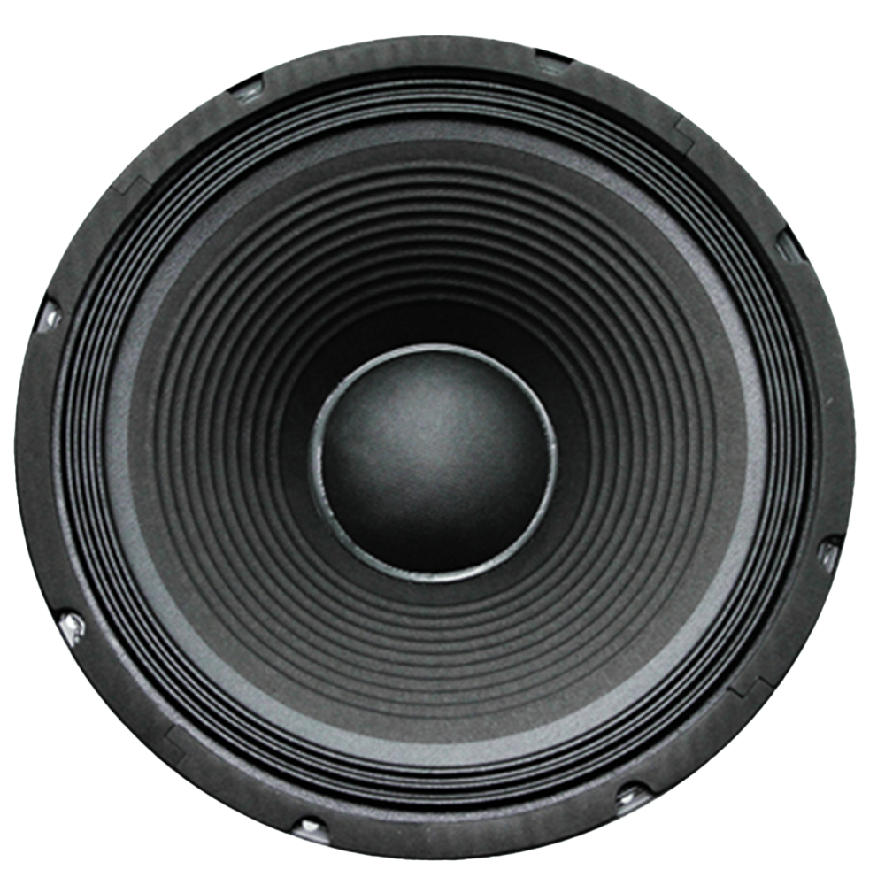 12" 250W Replacement Speaker [FTS 12F250] - Fastrak