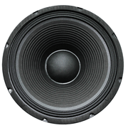 12" 250W Replacement Speaker [FTS 12F250] - Fastrak