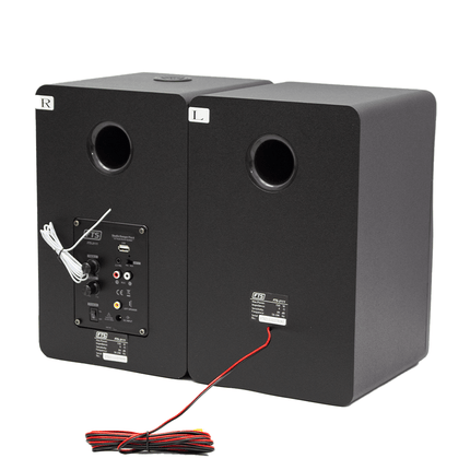 FTS Studio Banger Pro 6 6.5" Monitor Speakers (Pair) - Fastrak