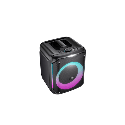 FTS 8'' Ingoma High Power Party Speaker with TWS(FTS - 2108) - Fastrak
