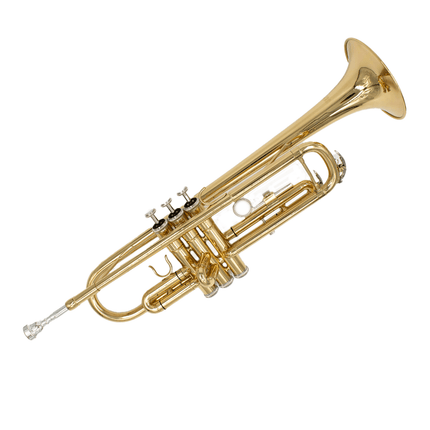 Rhythm Trumpet Lacquer [YWTR - 01] - Fastrak