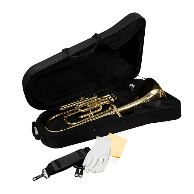 Rhythm Alto Horn Lacquer [YWAH - 20] - Fastrak