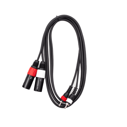 Astro Audio 1.8m C2RCA to 2XLR - Fastrak