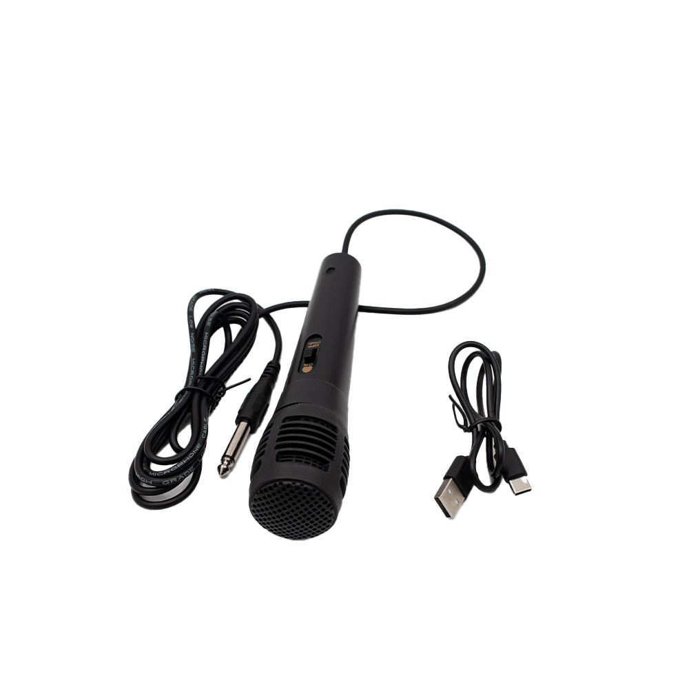 Vibez 8'' Portable Wireless Bluetooth Speaker (FTS - TS08) - Fastrak