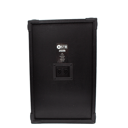 STB 10'' Passive Wooden Speaker [STB - FT10] - Fastrak