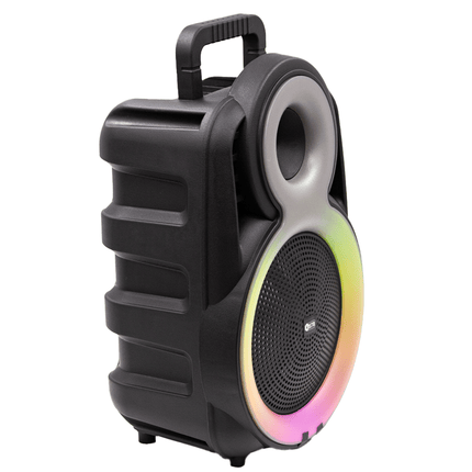 STB 8'' Bluetooth Portable Speaker [STB - 2513B] - Fastrak