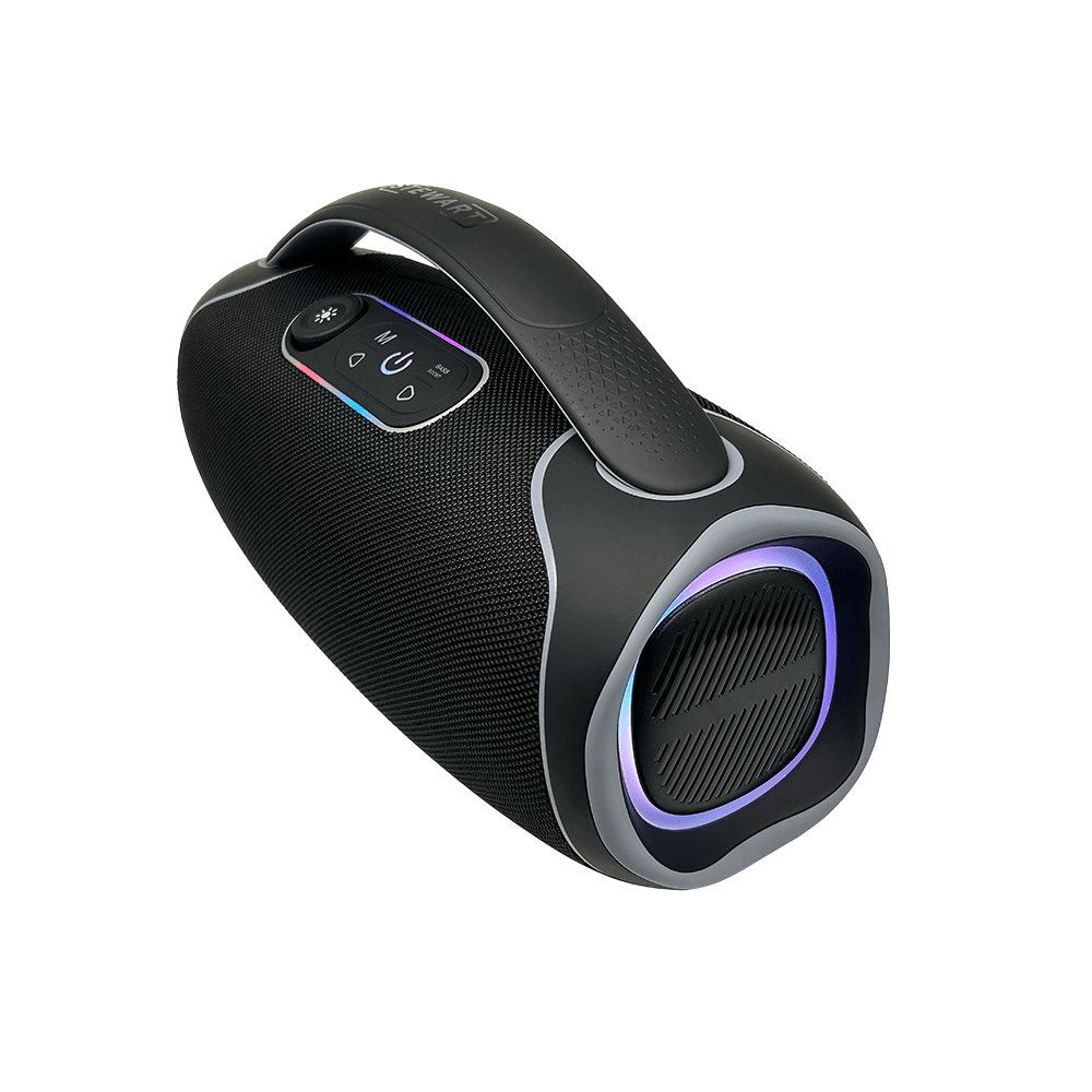 Stewart 300W Boombox Speaker [STW - 79PRO] - Fastrak