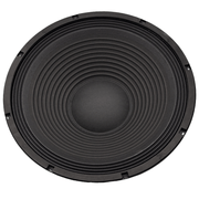 FTS 15'' Loose Speaker 300W [FTS - 15F300] - Fastrak