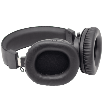 Astro Audio Dj Headphone Black[DSH3500 BK] - Fastrak