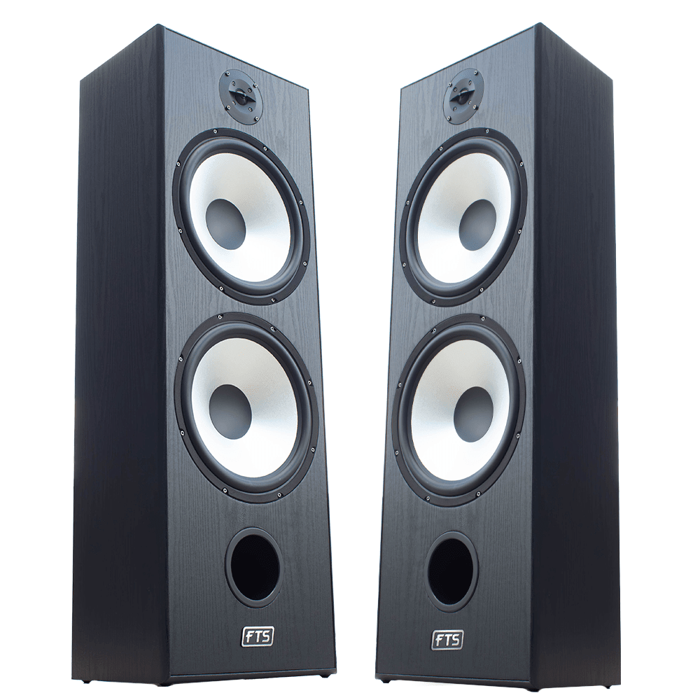 FTS 8'' Dual Passive Speaker Pair 60-120W [Black] (FTS-D08) - Fastrak