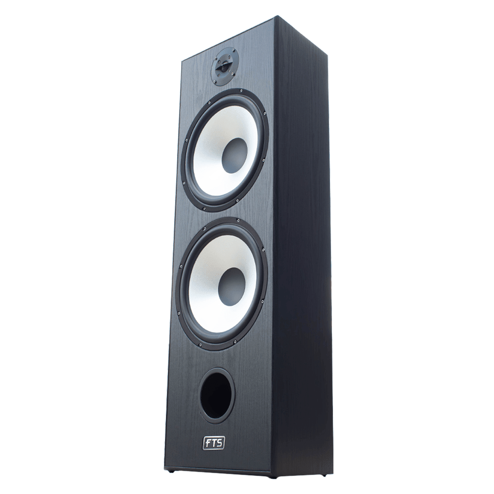 FTS 8'' Dual Passive Speaker Pair 60-120W [Black] (FTS-D08) - Fastrak