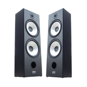 FTS 8'' Dual Passive Speaker Pair 60-120W [Black] (FTS-D08) - Fastrak