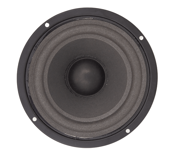 FTS 5.25'' 60W Hi-Fi Replacement Woofer Foam Surround