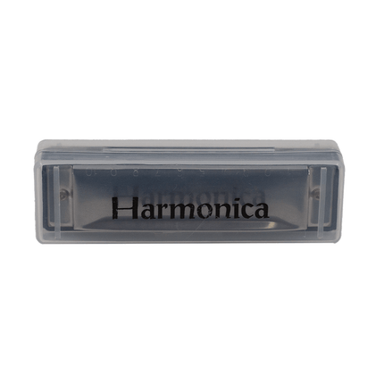 FTS Bruce Harmonica 10 - hole C key Black [F10BA] - Fastrak