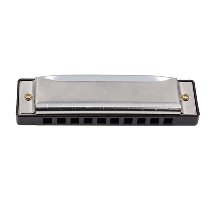 FTS Bruce Harmonica 10 - hole C key Black [F10BA] - Fastrak