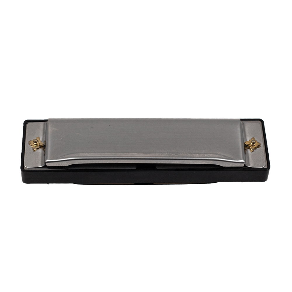 FTS Bruce Harmonica 10 - hole C key Black [F10BA] - Fastrak