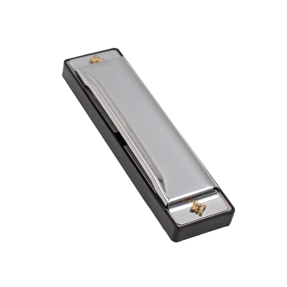 FTS Bruce Harmonica 10 - hole C key Black [F10BA] - Fastrak