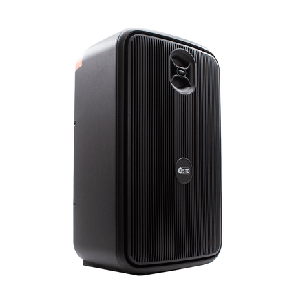 STB 12'' Portable Speaker with TWS [STB - 2612B] - Fastrak