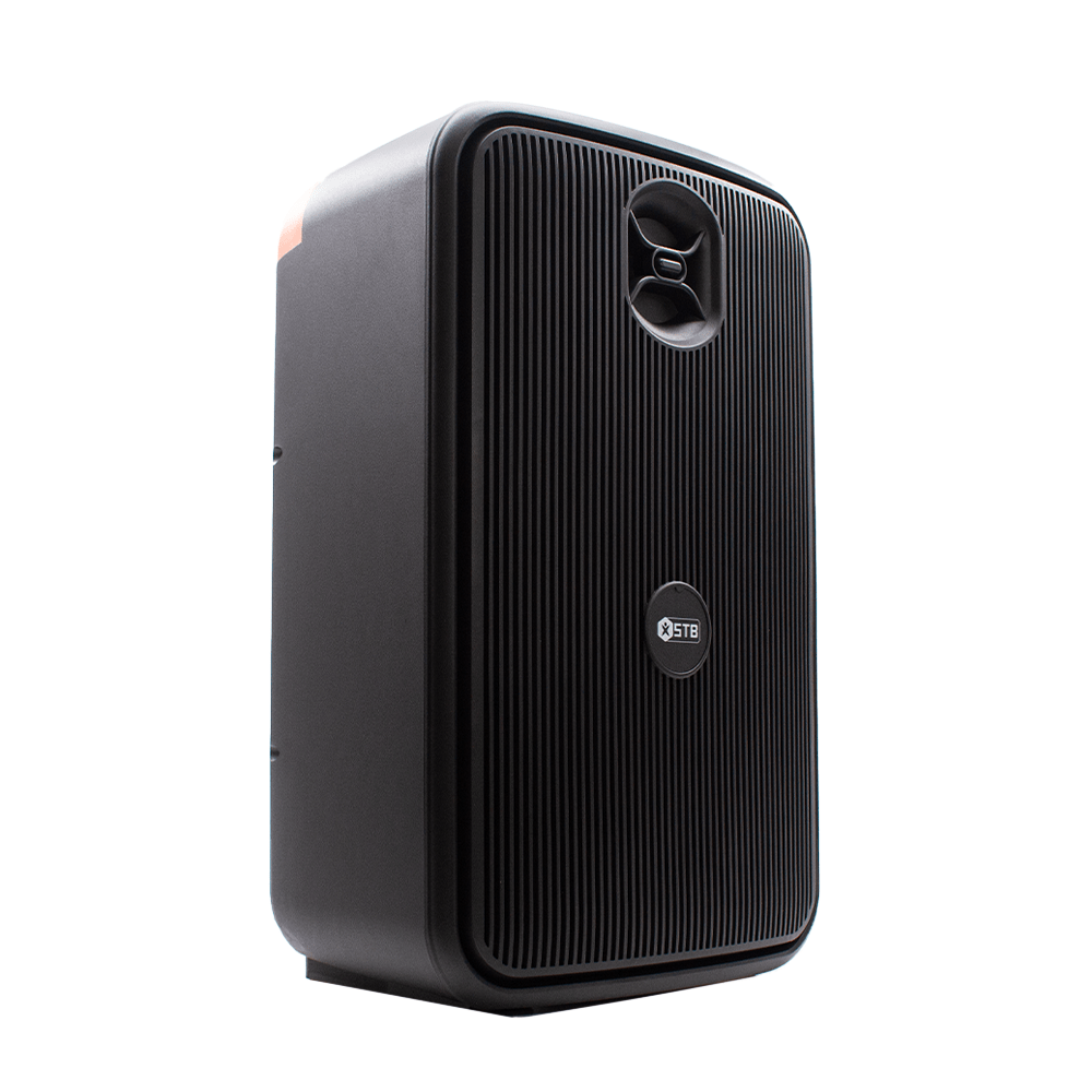 STB 12'' Portable Speaker with TWS [STB - 2612B] - Fastrak