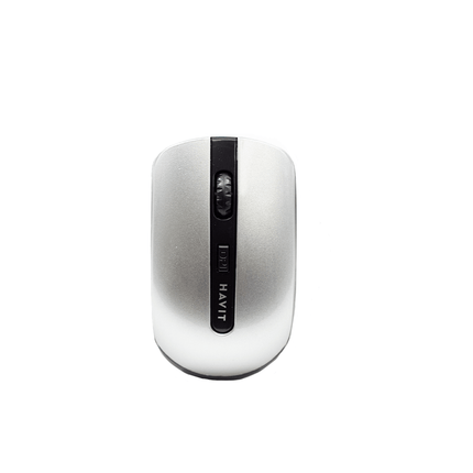 Havit Wireless Mouse Black+Silver [HV - MS989GT BK+SL] - Fastrak