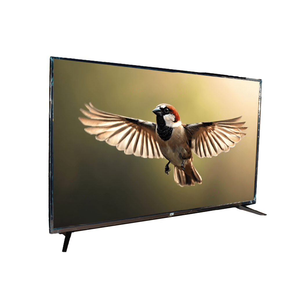 FTS 55" Smart Frameless UHD Led Panel Android 14 [FTS-1855SP] - Fastrak