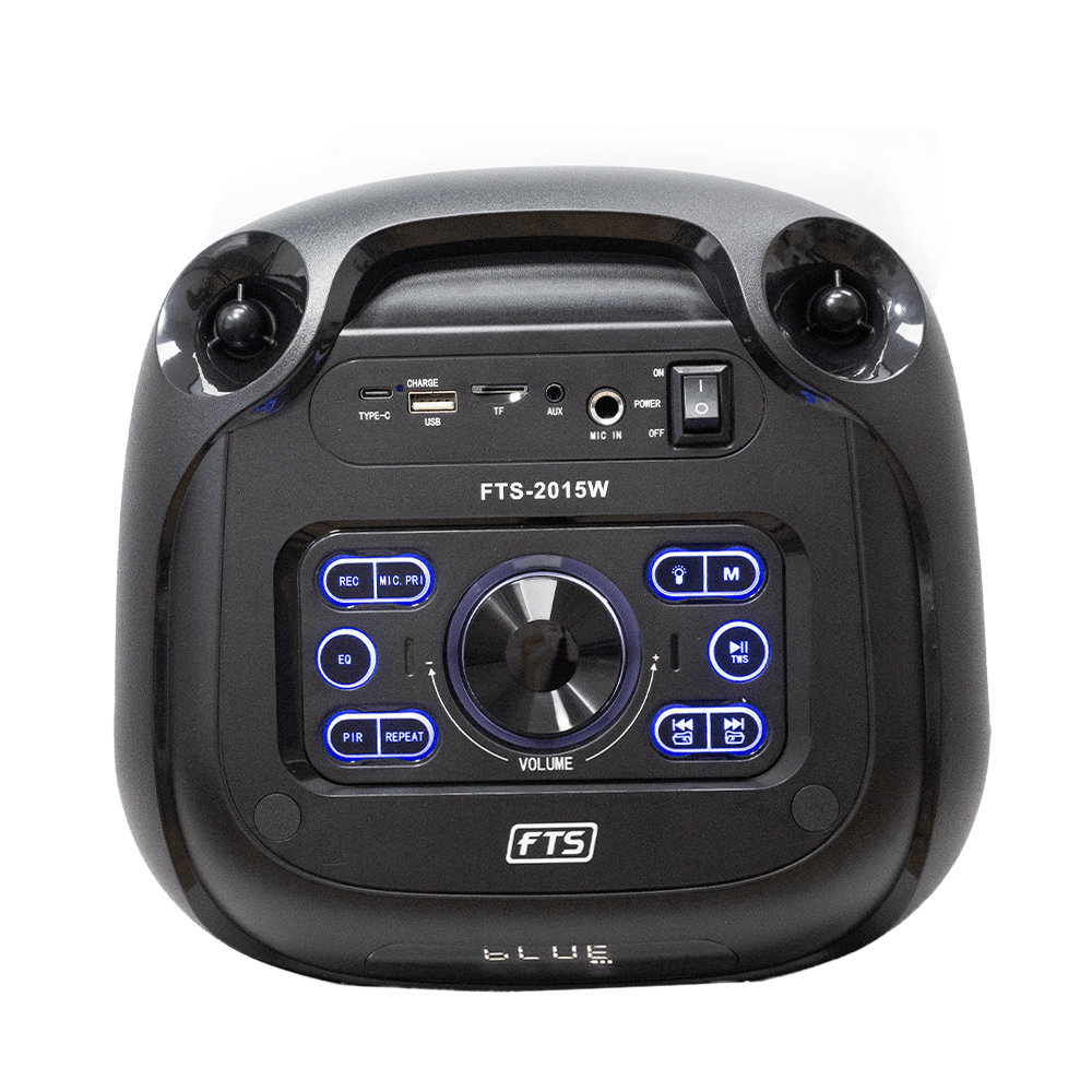FTS Mzansi Vibe High Power Portable Speaker (FTS - 2015W) - Fastrak