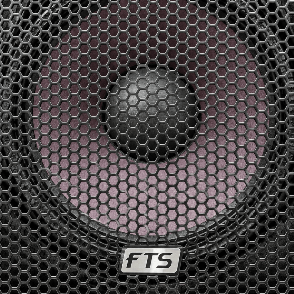 FTS 15" Double Speaker [FTS1115D MKIIl] - Fastrak
