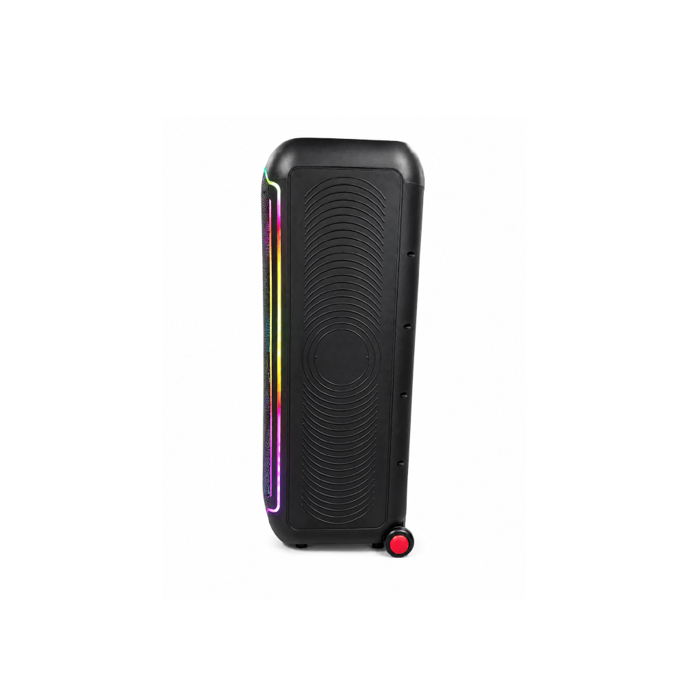 Kokota 12'' Double Portable Plastic Battery Speaker [FTS-TS12 MKII] - Fastrak