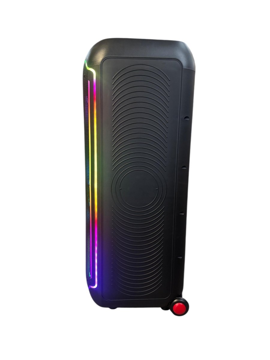 Kokota 12'' Double Portable Plastic Battery Speaker [FTS-TS12 MKII] - Fastrak