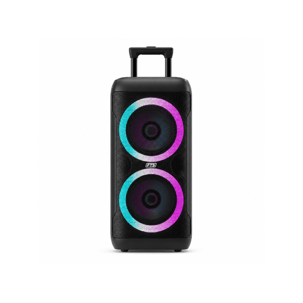 FTS Syabangena High Power Party Speaker [FTS-2011]