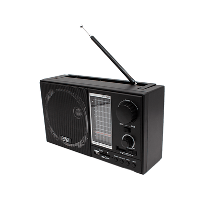 FTS GOGO PORTABLE RADIO (FTS - TS65) - Fastrak