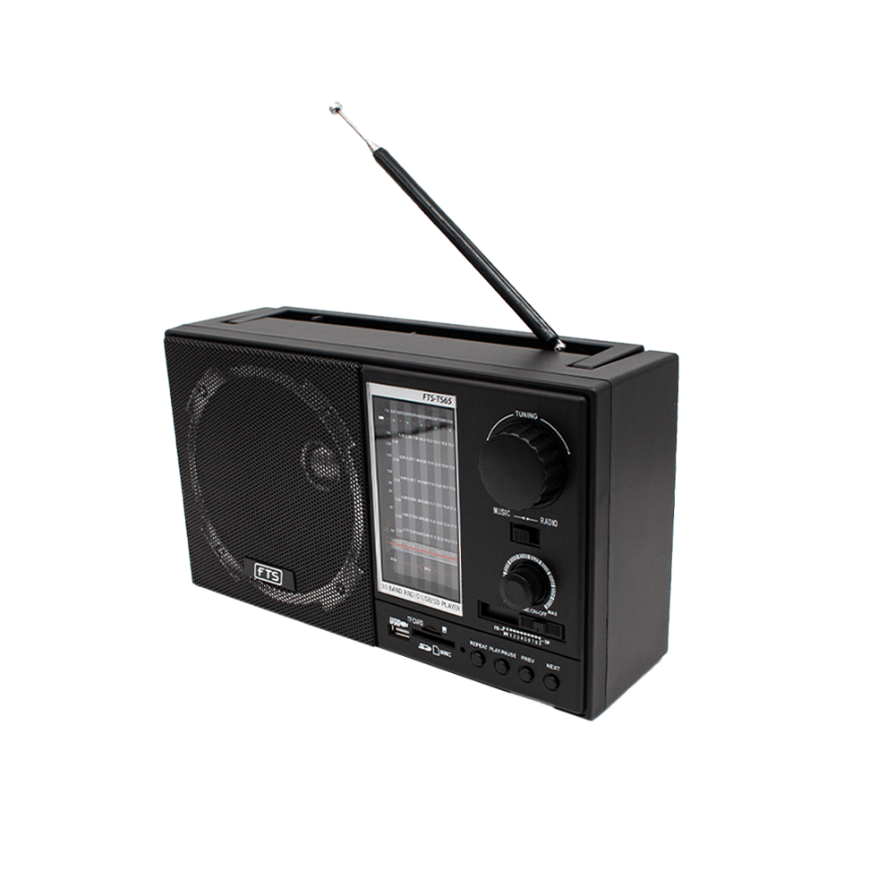 FTS GOGO PORTABLE RADIO (FTS-TS65) - Radio – Fastrak
