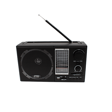 FTS GOGO PORTABLE RADIO (FTS - TS65) - Fastrak