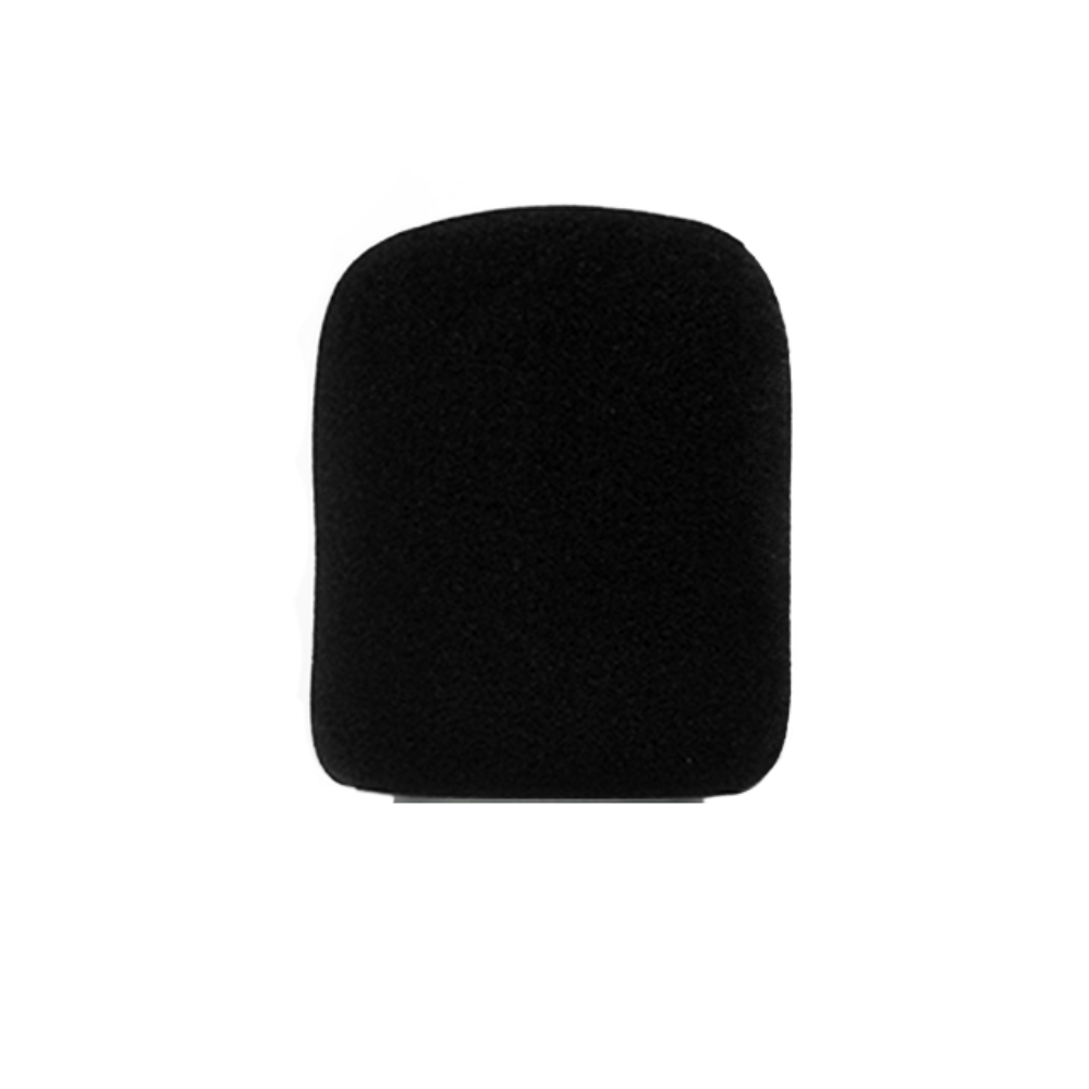 FTS C - 2 Condenser Microphone - Fastrak