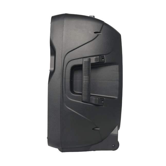 FTS 15" Plastic Moulded 250W Speaker [FTS 1515P] - Fastrak