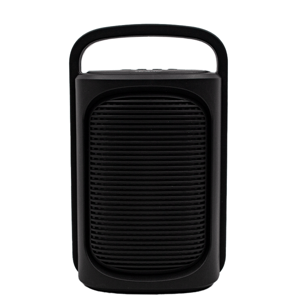 DESE Fts 3'' Portable Speaker (FTS-BS111C)