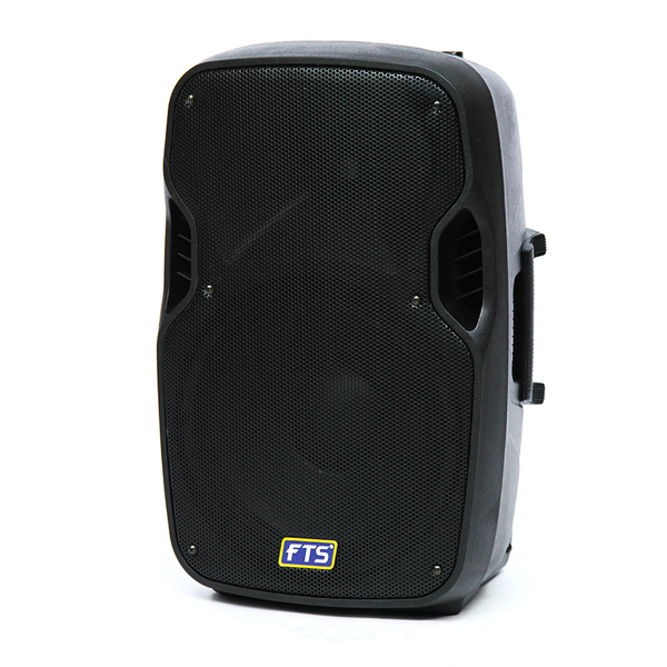 15" Plastic Moulded 250W Speaker [FTS 1515P]