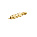 #JX4071Y RCA Gold Male 2 Yellow Line