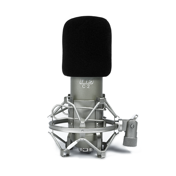 FTS C-2 Condenser Microphone | Fastrak