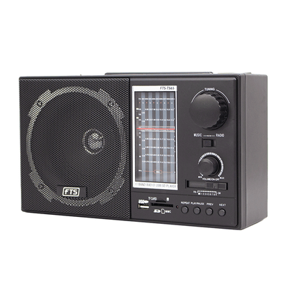 FTS GOGO PORTABLE RADIO (FTS - TS65) - Fastrak