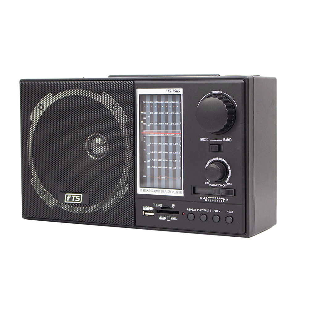 FTS GOGO PORTABLE RADIO (FTS - TS65) - Fastrak