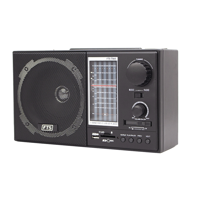 FTS GOGO PORTABLE RADIO (FTS - TS65) - Fastrak