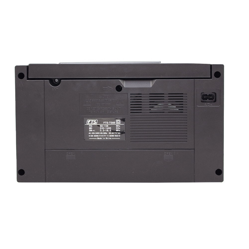 FTS GOGO PORTABLE RADIO (FTS - TS65) - Fastrak