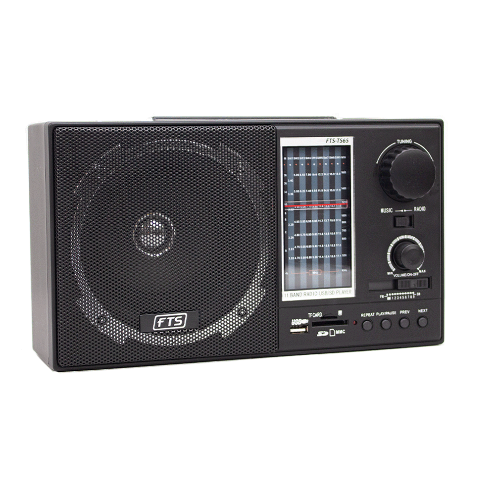 FTS GOGO PORTABLE RADIO (FTS-TS65) - Radio – Fastrak