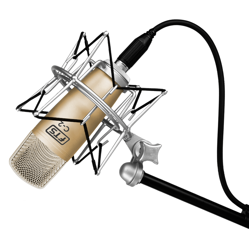 FTS C - 2 Condenser Microphone - Fastrak
