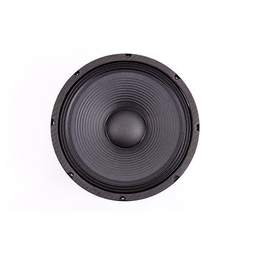 12" 250W Replacement Speaker [FTS 12F250]
