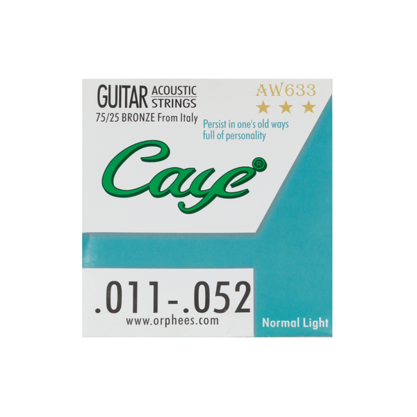 FTS Caye Accoustic Guitar Strings - fastrak-sa (2026943643715)