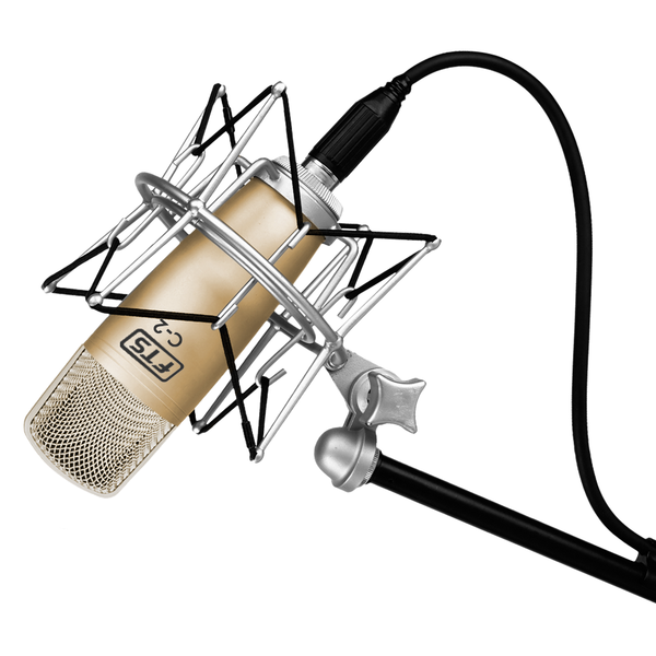 FTS C-2 Condenser Microphone